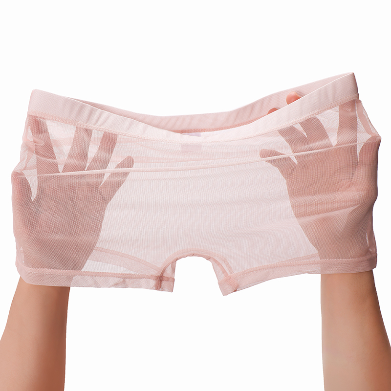 New Summer Men's Underwear Lace Transparent Boxers Low Waist Underpants Male Thin Mesh Breathable Lingerie