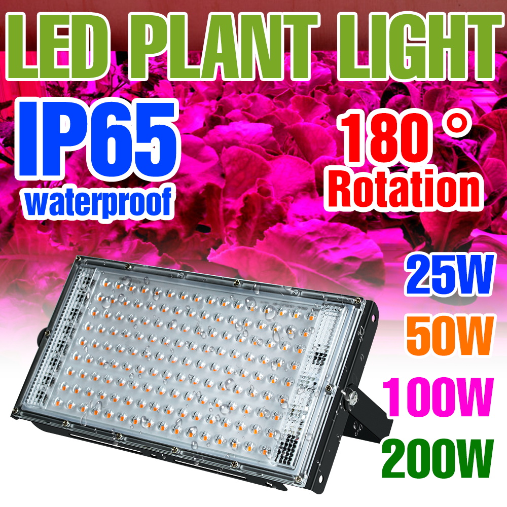 200W LED Plant Grow Light Full Spectrum Succulent Cultivate Lights Indoor Greenhouse Tent Seedling Vegs Fruits Fill Lighting