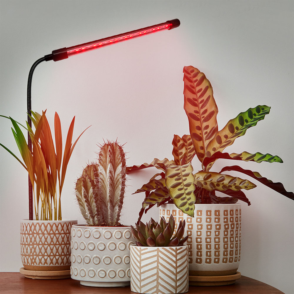USB LED Plant Growth Light Red Blue LED Lamp with Dimming Timer Feature Just Plug into Soil for Easy Plant Care