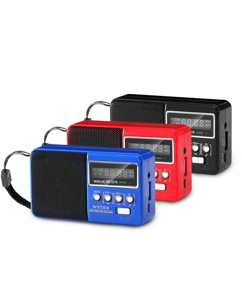 WSTER WS-2319 Wireless Bluetooth Built-In FM Radio