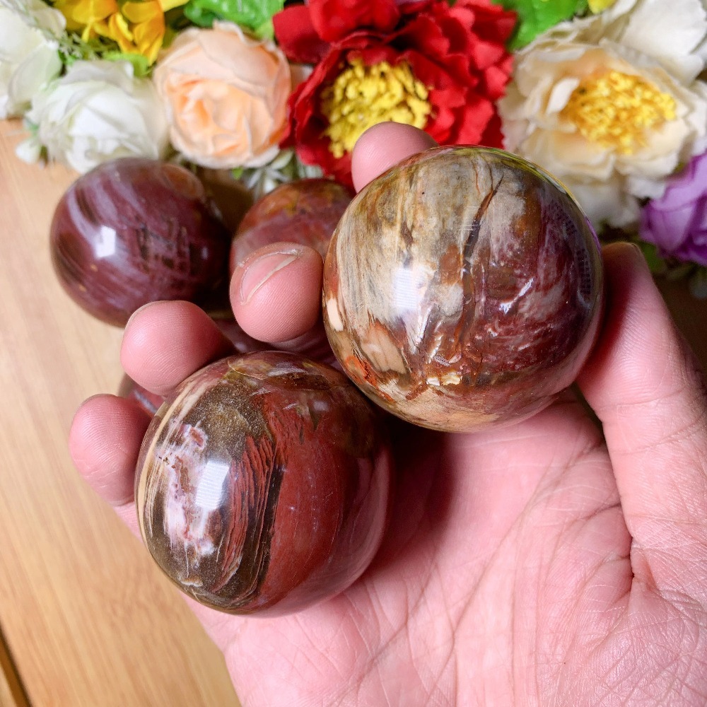 1pc Natural Petrified Wood Sphere - The Perfect Choice for Home Decoration and Collection, Perfect for Crystal Lover