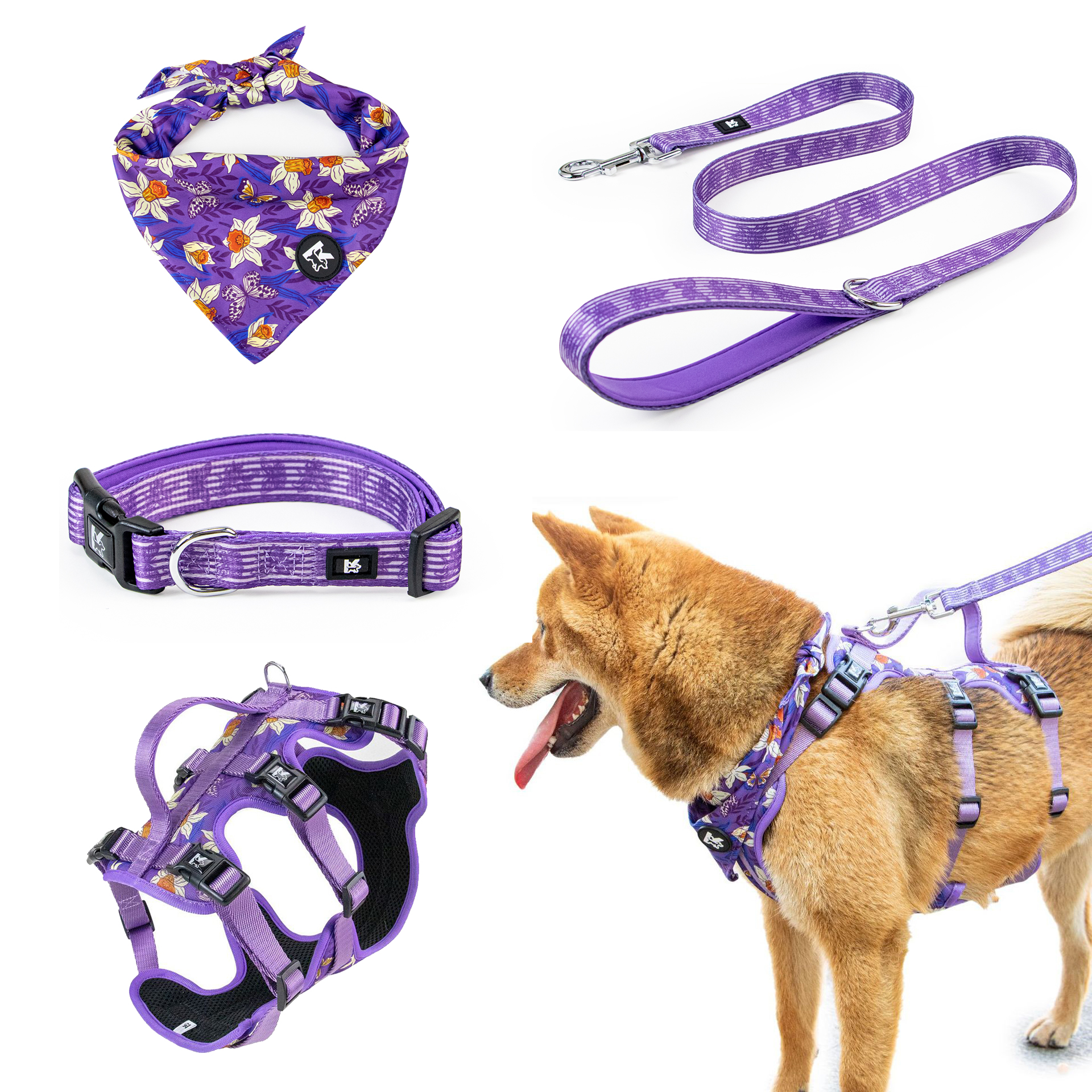 Pet Travel Set - Adjustable Dog Chest Harness / Dog Leash / Pet Bib / Pet Collar, Suitable For Small/Medium/Large Dogs