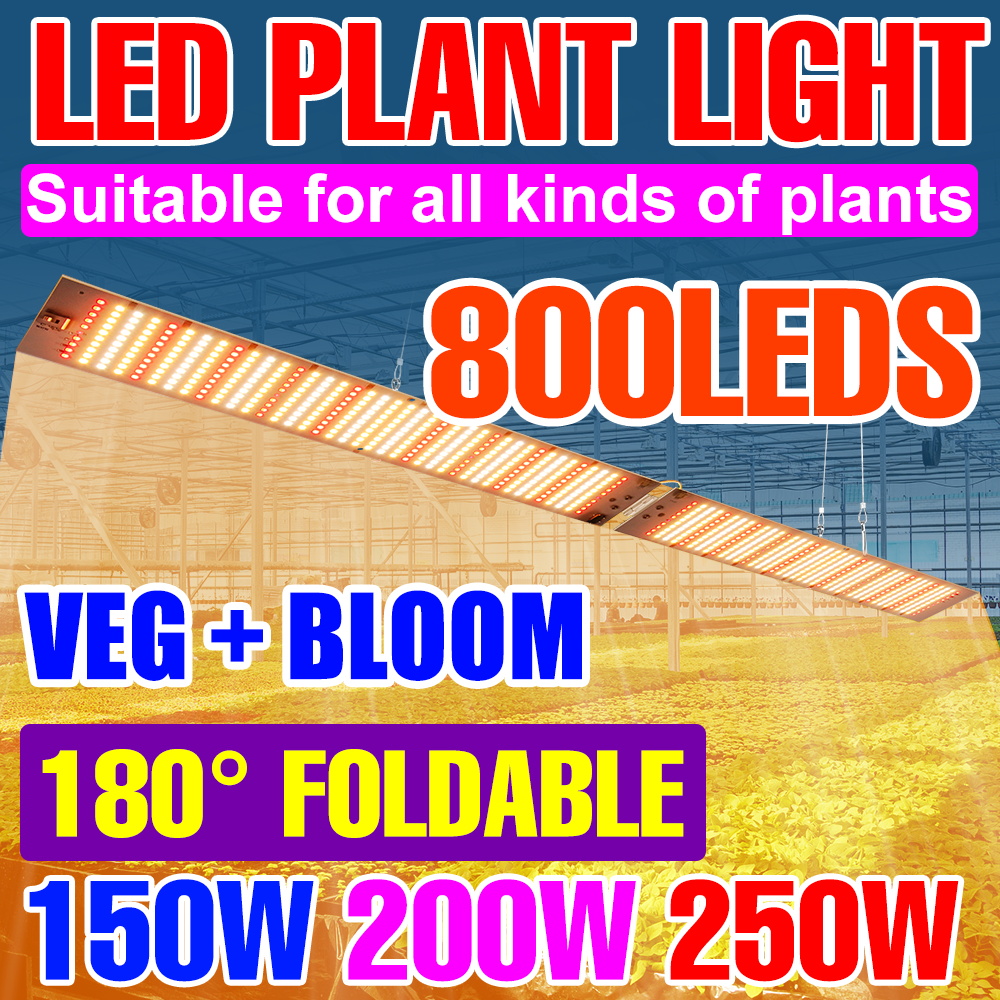 Foldable LED Full Spectrum Grow Lights UV/IR Quantum Board 150W 200W 250W Indoors Plant Fill Lamps Greenhouse Tent Hydroponics