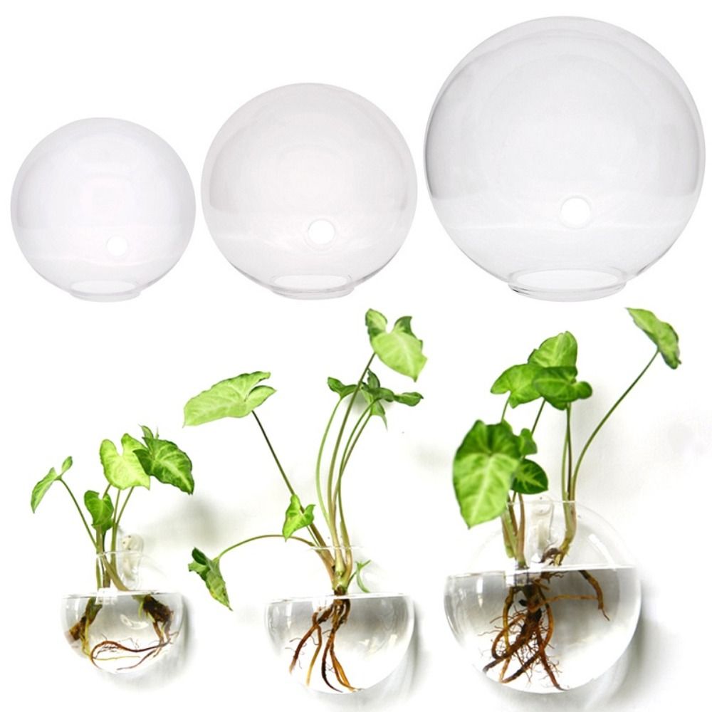 1 Pc Transparent Glass Wall Mounted Vase Semi Circular Fish Tank Micro Landscape Ecological Bottle Flower Arrangement Bottle