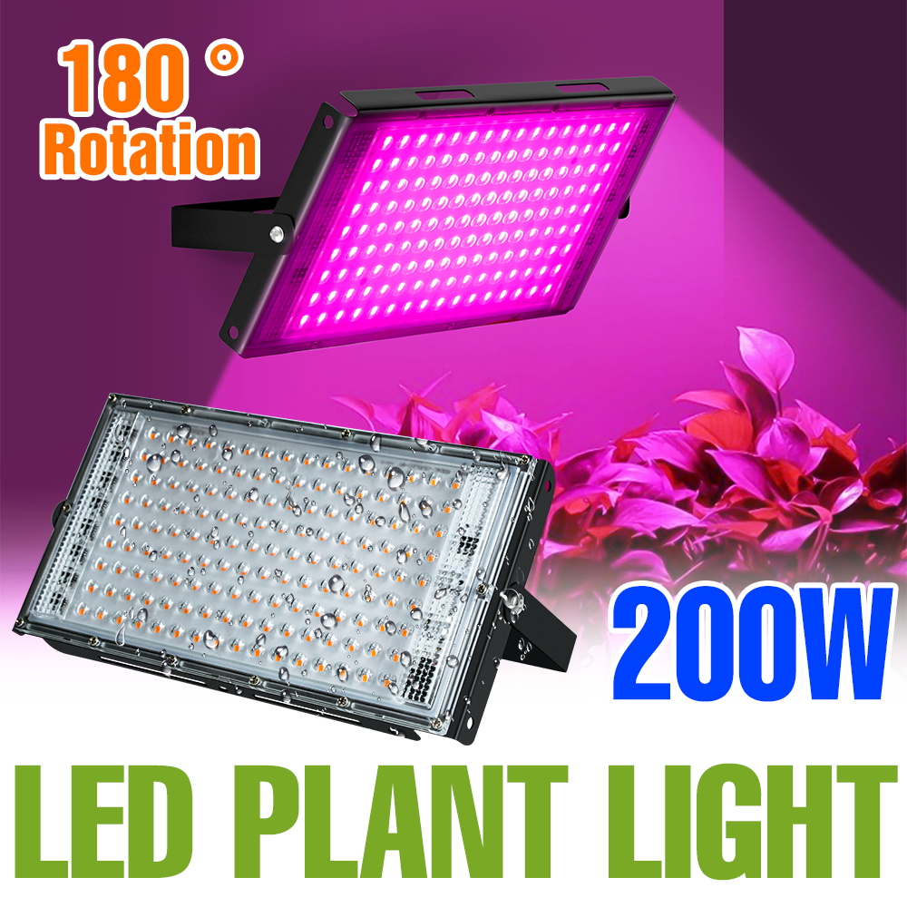 200W Full Spectrum LED Grow Light Quantum Board Indoor Plant Lamp Greenhouse Vegetables Flower Hydroponics Cultivation Lights