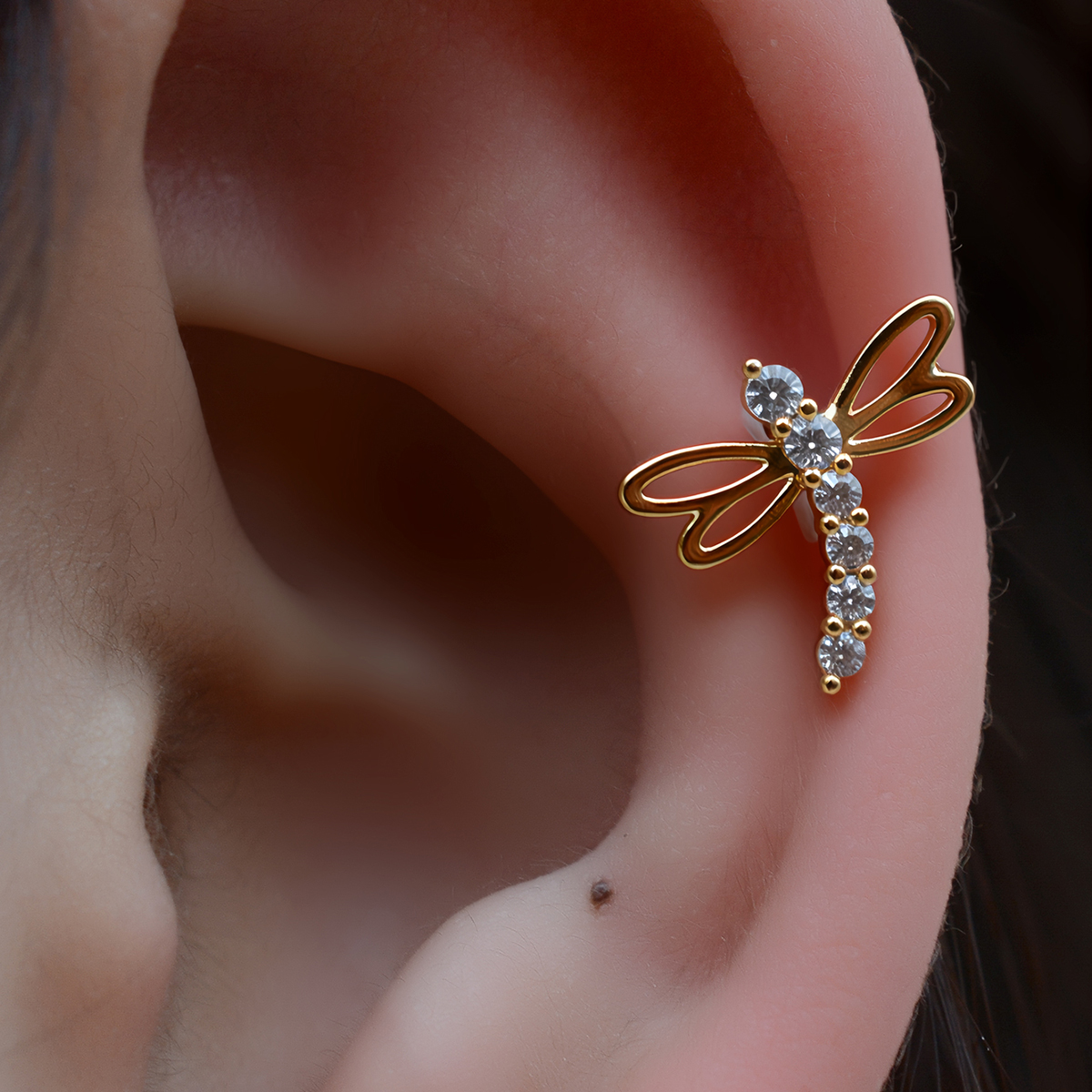 1PC 20G Stainless Steel Dragonfly Cartilage Piercings Stud with Cubic Zircon Ear Helix Flat Tragus Rook Standard Earrings Jewels