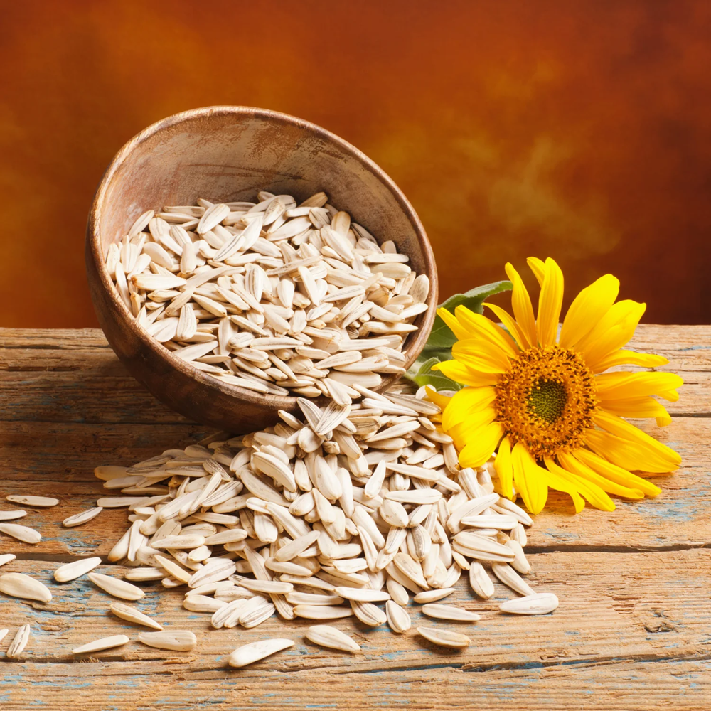 Premium Sunflower Seeds (Suryamukhi Biya) - Raw & Natural | High in Protein & Healthy Fats | 200G
