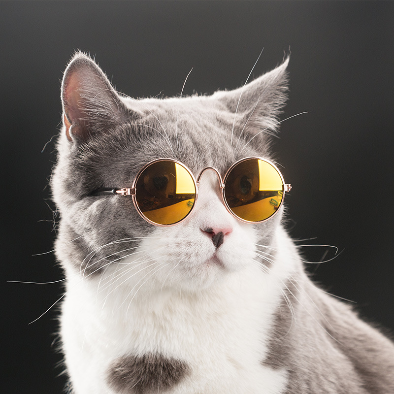 Fashion Cat Glasses For Small Cat Glasses Grooming Pet Dogs Sunglasses Eye Pet Cool Glasses Photos Protection Cat Sunglasses