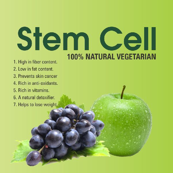 Double STEMCELL 60 Capsules Secret of Healthy Life