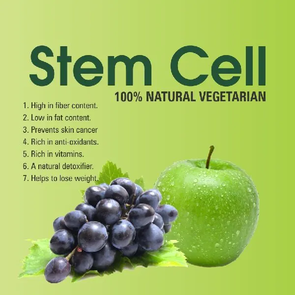Double STEMCELL 60 Capsules Secret of Healthy Life