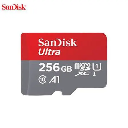 SD Mobile SD(256Gb) Orginally support