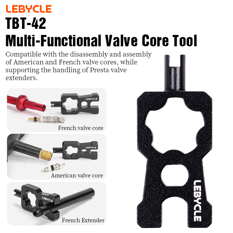 LEBYCLE Double-Head Portable Bicycle Tire Valve Core Tool Bike Valve Core Removal Tool Valve Removal Wrench Bike Repair Tools