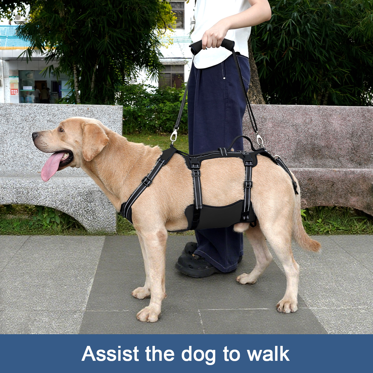 COODEO Dog Back Brace For Back Pain Post Surgery Recovery Adjustable Support Harness With 8 Plastic Strips For Spine Protection