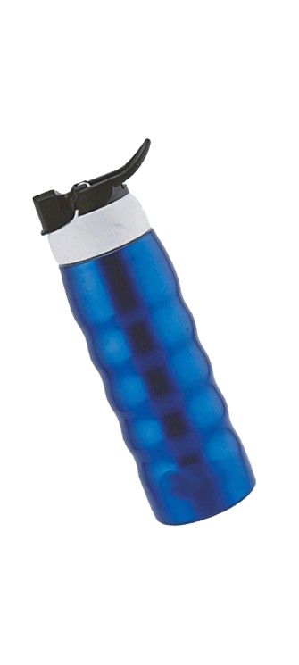 Non-Insulated Sport Bottle 650ML