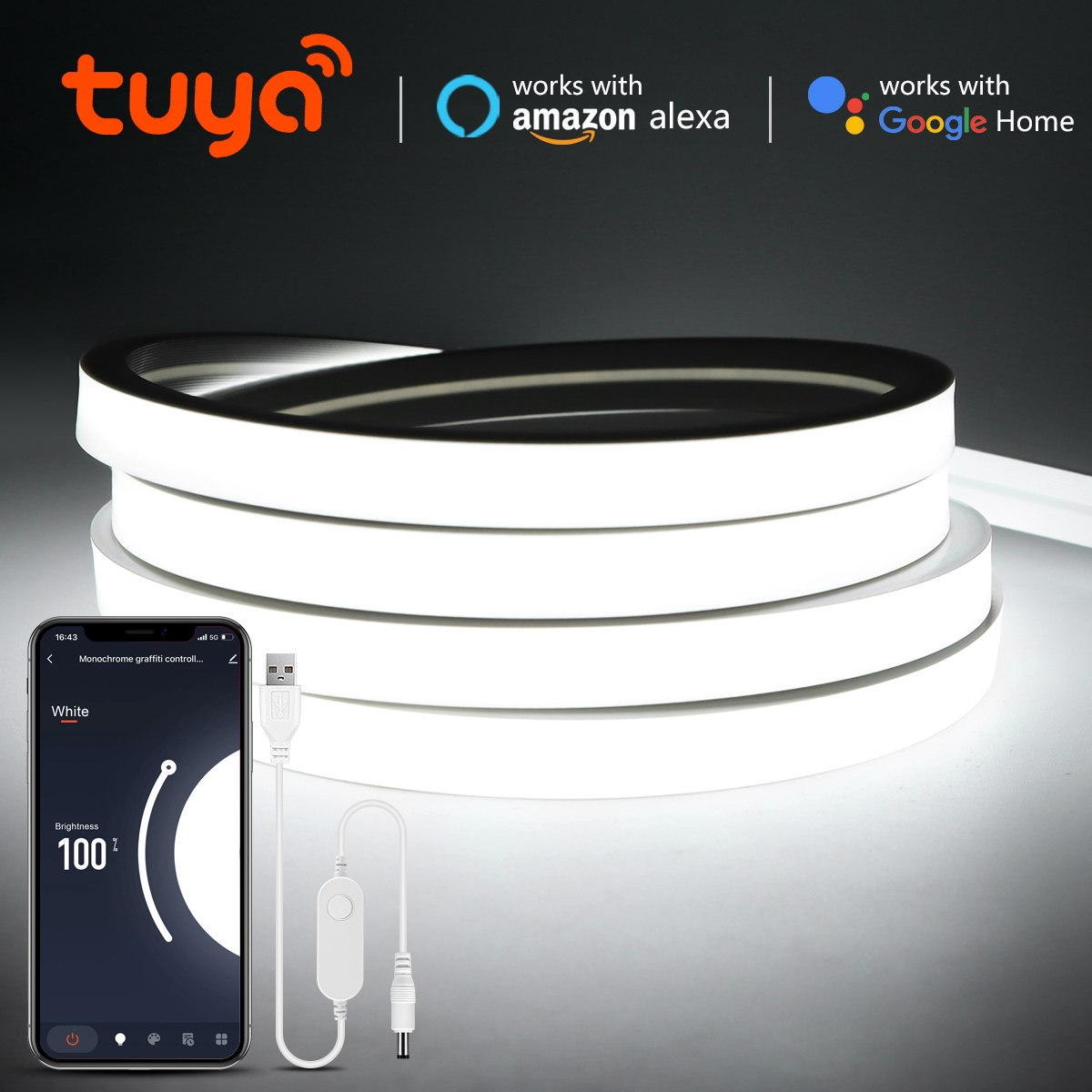 Tuya Smart WiFi LED Neon Light Strip 12V Black Silica Gel Tube RGB Bluetooth APP Neon Lamp Tape For Home Room Decor lightify