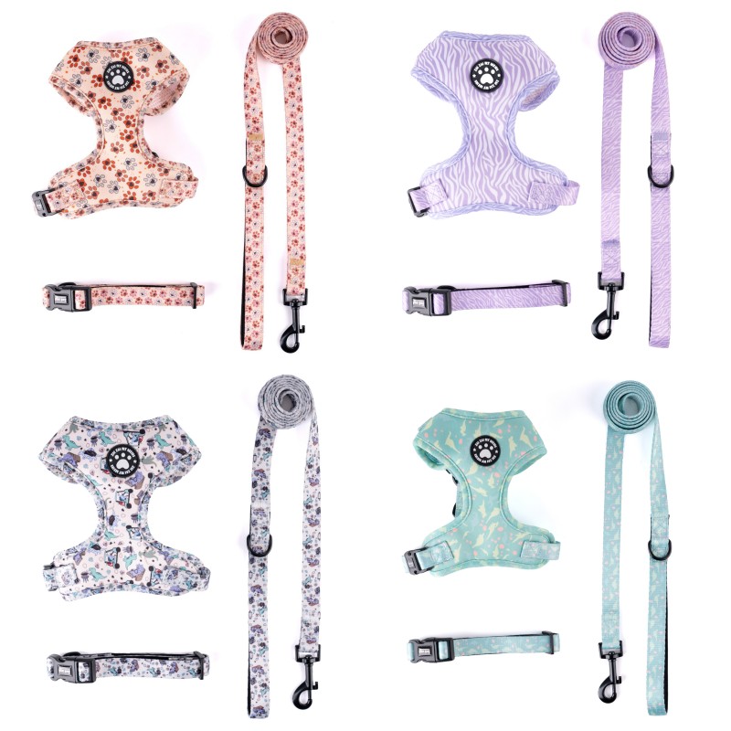 3 in 1 Adjustable Dog Harness and Leash Set-All-Season Chest Vest with Press Buckle Dog Collar Cute Print Pet Harness Leash Set