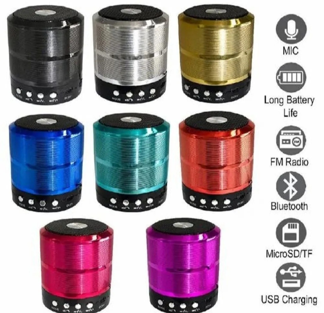 Mini Bluetooth speaker ws 887 with FM radio USB Pen Drive slot 48w Bluetooth party Speaker (Multicolour 4.1 channel