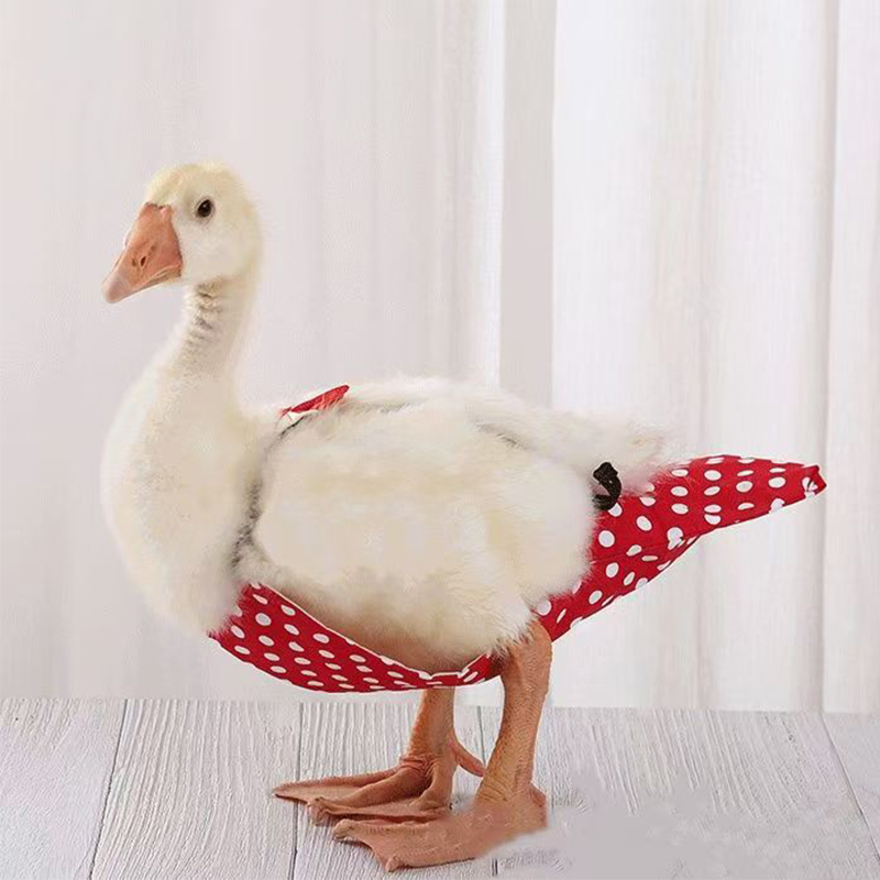 2025 NEW Kodak Duck Diaper Bellyband Adjustable Bird Flight Clothes Pooper Diapers Flight Suits Vests Pet Supplies