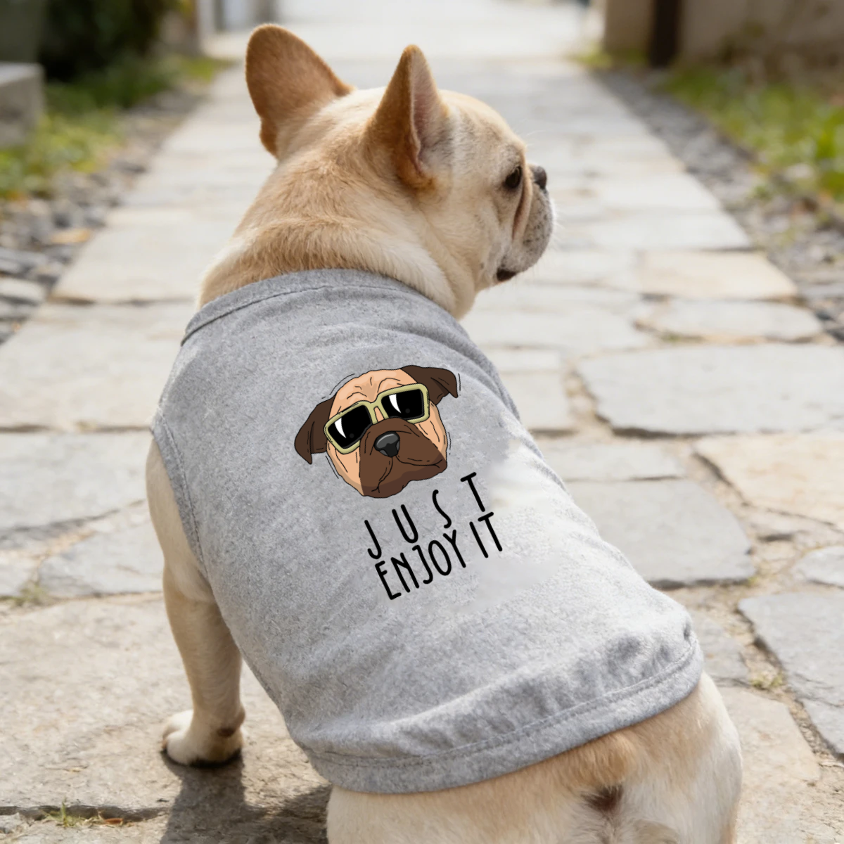 1PC soft cartoon printed dog vest for spring and summer, teddy bear small and medium-sized dog two legged pet clothes