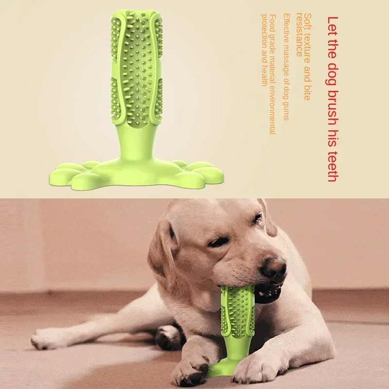 Pet Dog Cactus Interactive Chew Toys For Small Large Dogs Tooth Cleaning Toothbrush For Medium Large Dogs Treat Dispenser