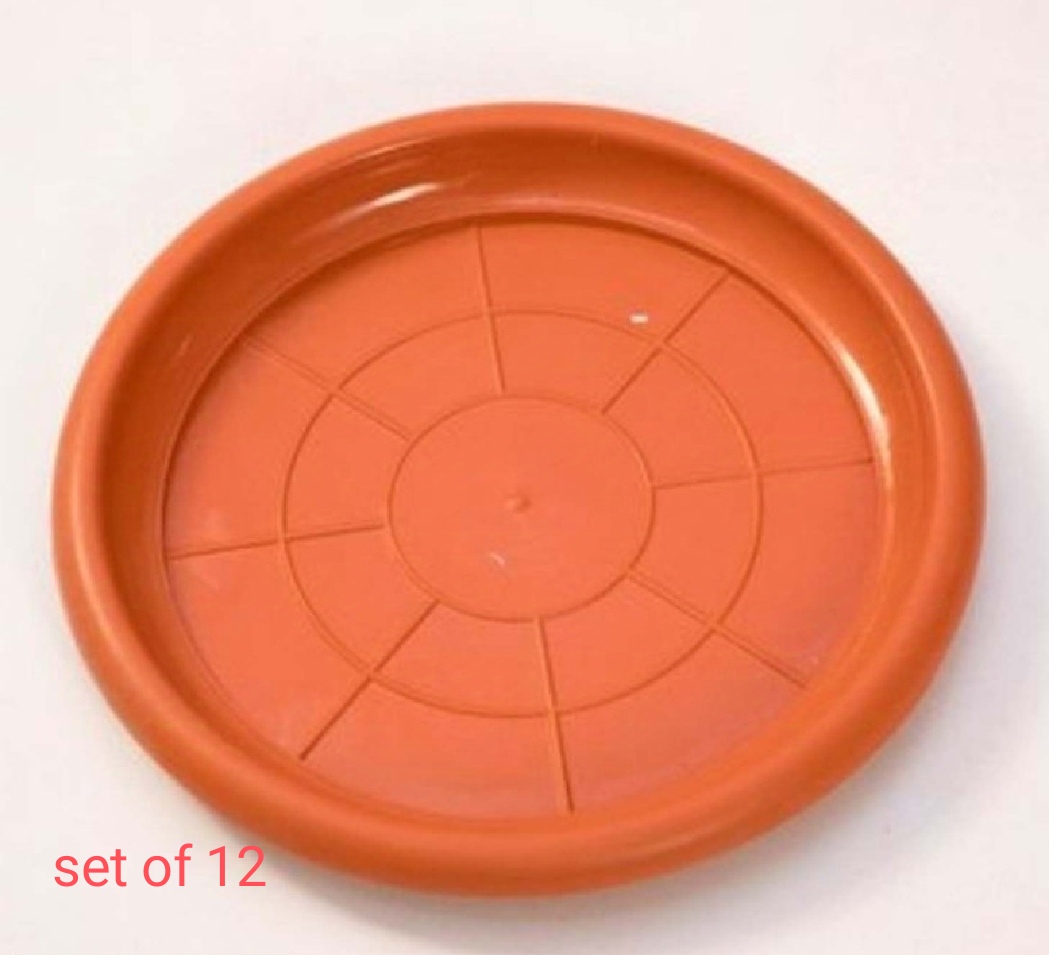 Pack Of 12 Orange Color 5.5 Inch Diameter Gamala Plate
