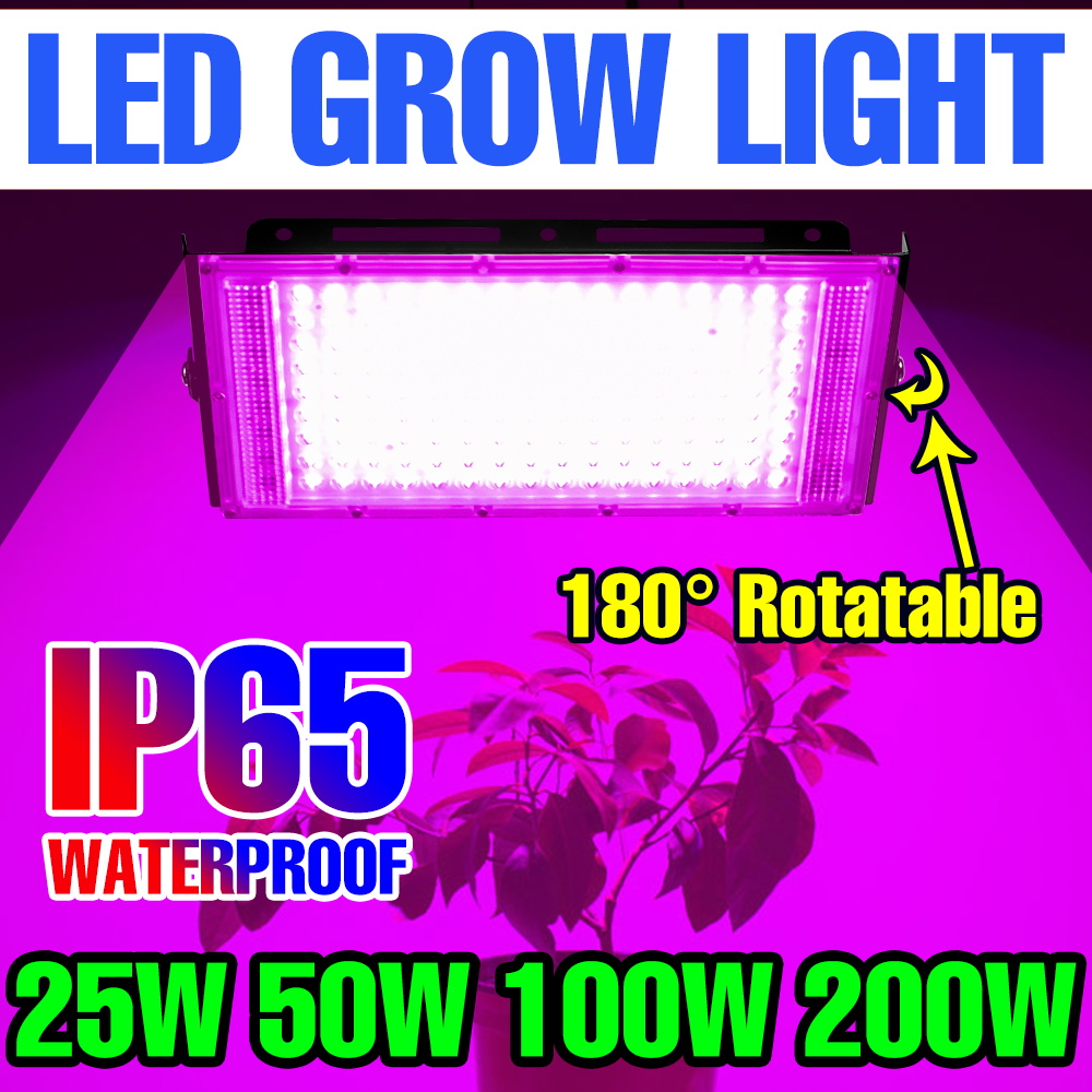 200W LED Full Spectrum Grow Light Indoor Plant Lamp 220V Greenhouse Tent Vegs Hydroponic Flowers Succulent Cactus Fill Lighting