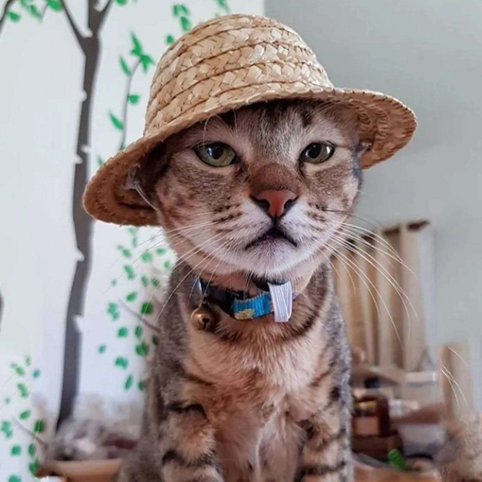 Retro Farmer Cat Dog Hat Sun Dog Straw Cap For Small Medium Pet Puppy Kitten Hats Cute Costumes Accessories Supplies
