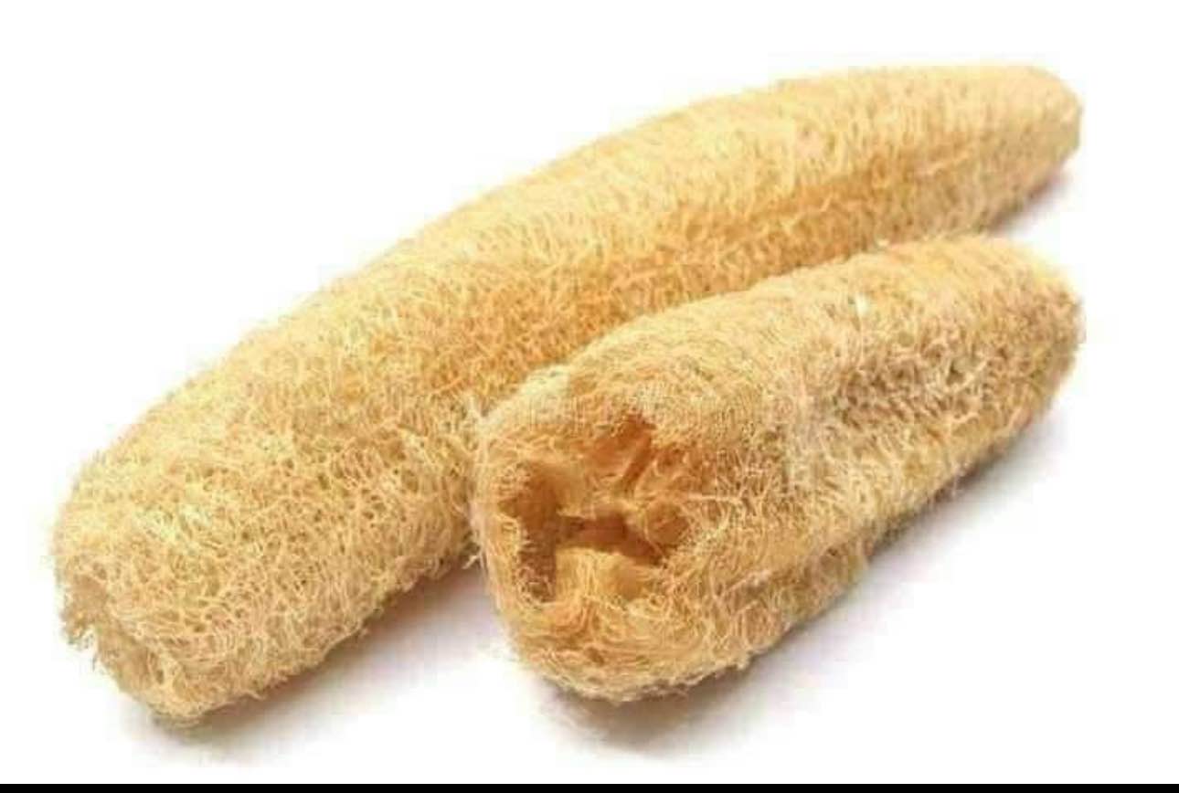 Natural Loofah Sponge small size 1 pcs