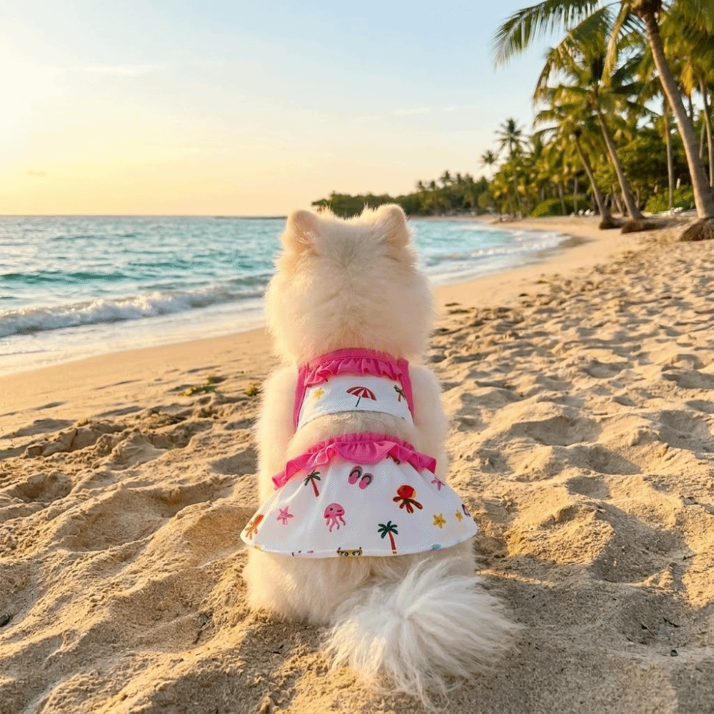 Fashion Cartoon Print Lace Collar Dog Vest Breathable Soft Pet T-Shirt with D-Ring Thin Cat Cooling Vest Outdoor