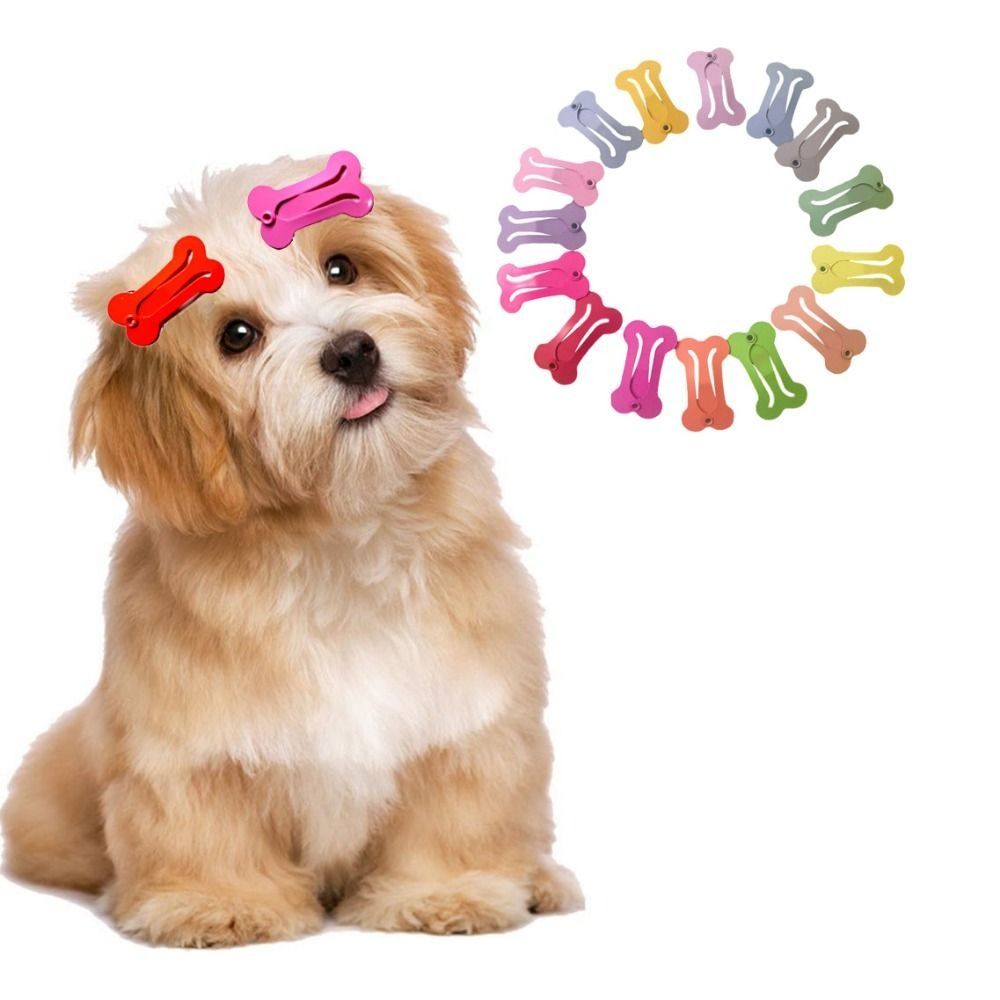 Portable Cute Bone Shape Candy Color Dog Hair Accessories Dog Hairpin Cat Hair Clips Puppy Hairpin