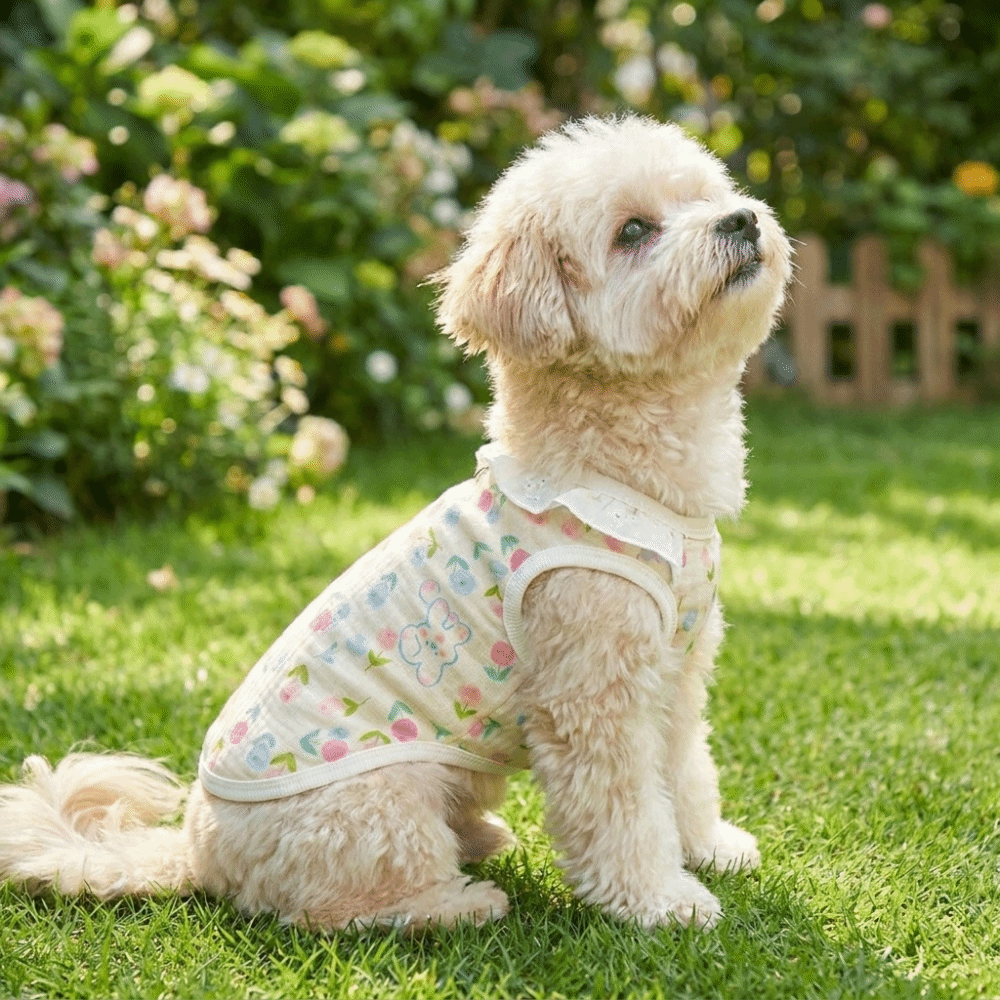 Cute Cartoon Print Lace Collar Dog Vest Thin Soft Pet T-Shirt Breathable with D-Ring Summer Pet Clothes Outdoor