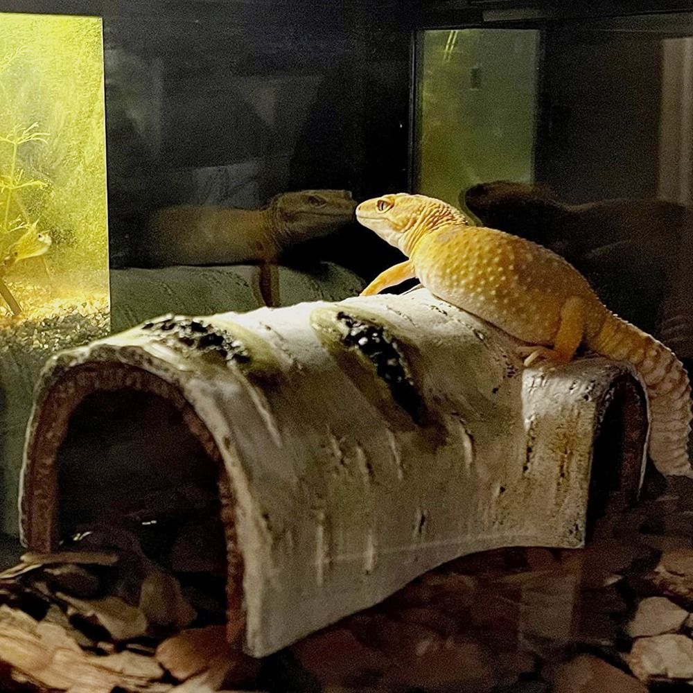 Wood 1PC for Reptiles Amphibians Creative Hollow Small Reptile Caves Lizard Hideout Caves Trunk Habitats Tortoise Hideout