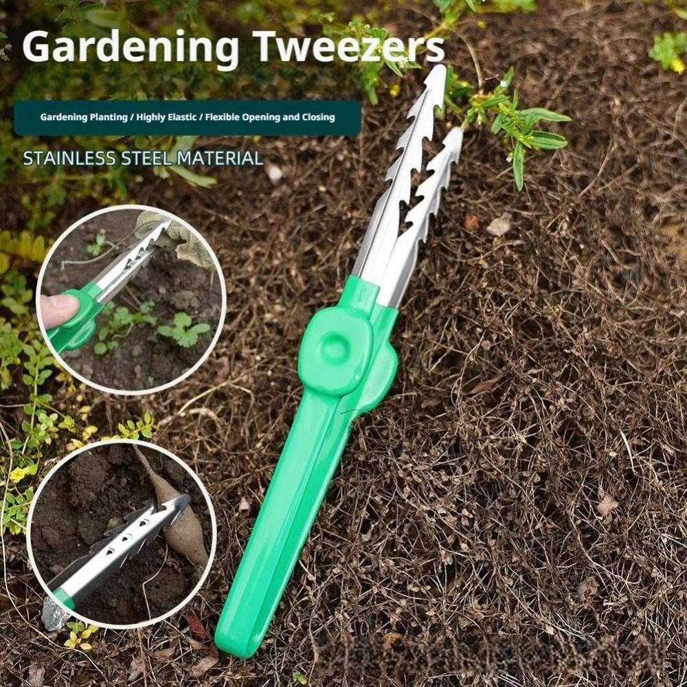 Bonsai Growers Stainless Steel Gardening Tweezers Solid Stainless Steel Precision Aligned Tip Care Clip Compact Lightweight Moderate Length Handle Bonsai Tool Small Nursery