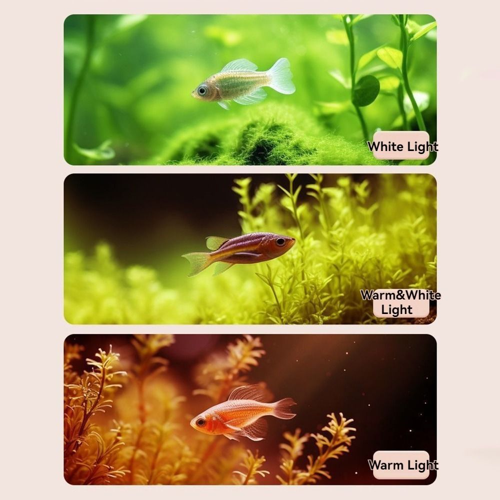 Practical 3 Color Modes Mini Clip-on Aquarium Lamp Adjustable 360 Degree Rotation Fish Clip Lamp Energy Saving Rechargeable LED Aquarium Light Aquarium Accessories
