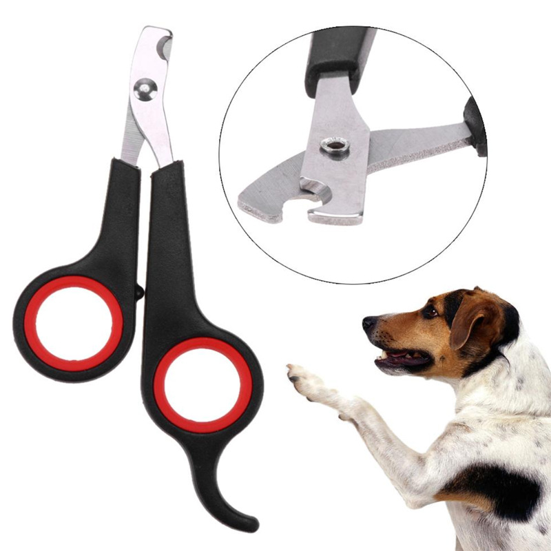 HOT 1PCS Professional Pet Nail Clipper Scissors Pet Dog Cat Nail Toe Claw Clippers Scissor Nail Trimmer for Animals Pet Supplie New