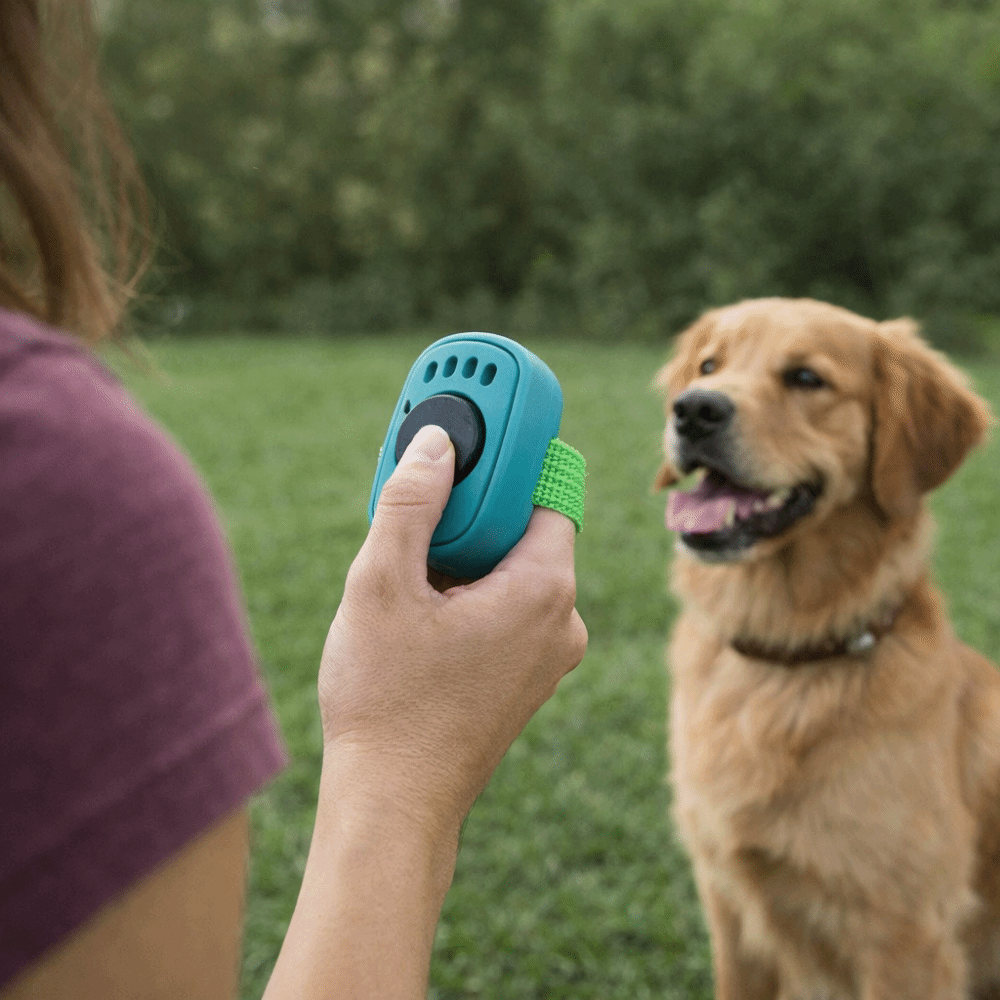 Portable Dog Thumb Training Clickers Mini Finger Ring Lightweight Pet Clicker Trainer No Battery Dog Training Equipment Behavior Modification