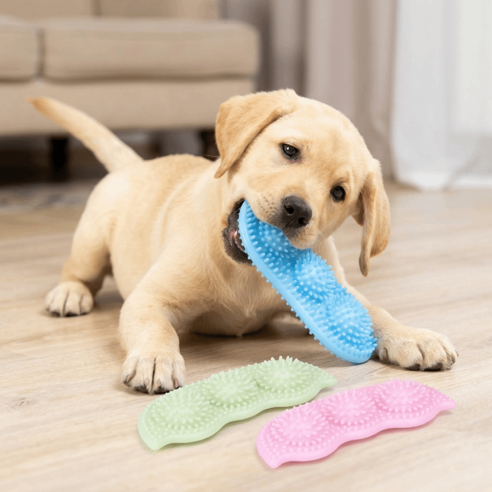 Durable TPR Material Pea Dog Chew Toy Bite Tough Flexible Texture Teeth Cleaning Toy Pea Shaped Safe Dog Molar Stick Daily Chewing