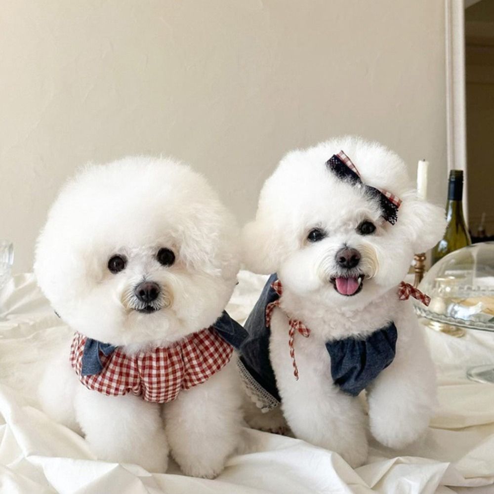 Comfortable Cute Dog Dress Soft Cartoon Cat Princess Skirt Breathable Thin Design Dog Vest for Puppy Kitten