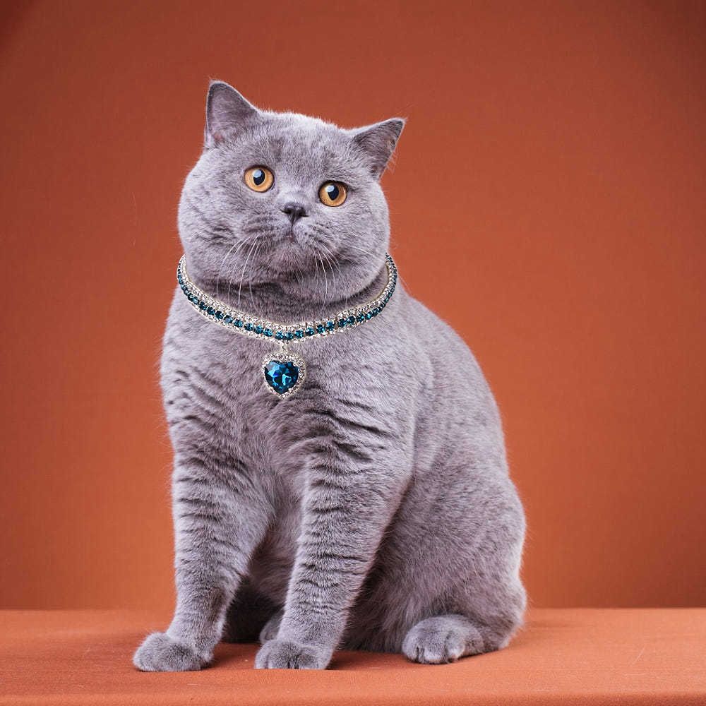 Adjustable Fashion Small Dog Pet Accessory Cat Accessory for French Bulldog Dog Necklace Pet Chain Cat Collar Dog Chain