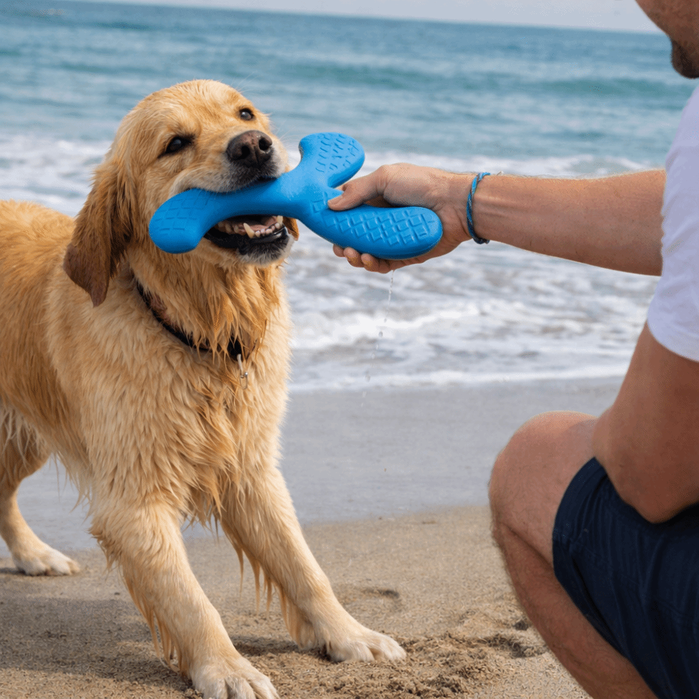 Creative Bite Resistant Pet Interactive Flying Disc Wear-Resistant Floating Flying Disc Toys Three-Leaf Design EVA Tooth Chew Toy Outdoor Training
