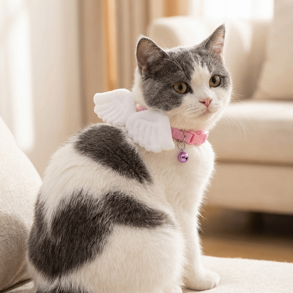 Lovely Adjustable Plush Wings Cat Collar Solid Color Soft Pet Collar Lightweight Not Tight Nor Loose Pet Dressing Party