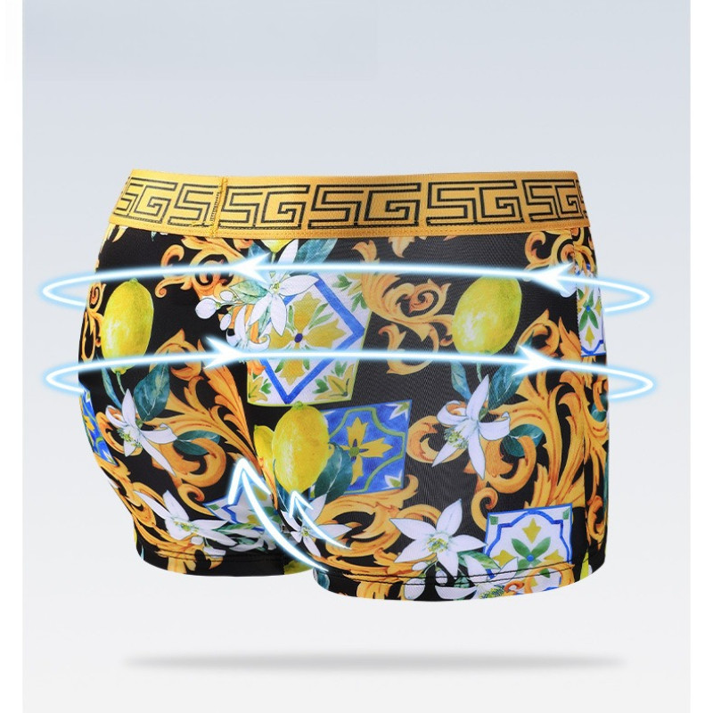 Men's Ice Silk Underwear Antibacterial and Breathable Boys' Summer Thin Comfortable Boxers 5223