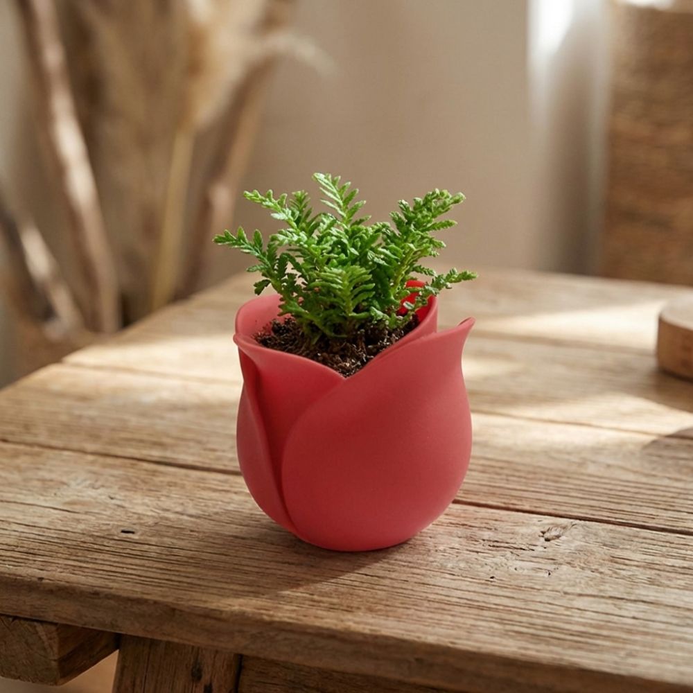 Creative Plastic Mini Rose Shape Pots Cute Decorative 3D Printed Pot Unique Flowerpots Indoor