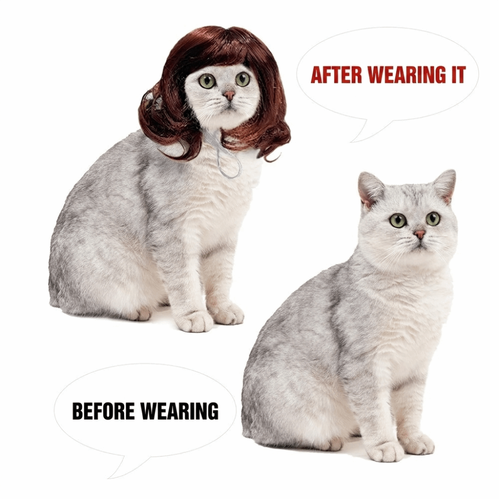 Pet Supplies Big Wave Pet Wig Lightweight Breathable Cat Short Curly Hair Cute Adjustable Pet Costume Wig Cosplay Props