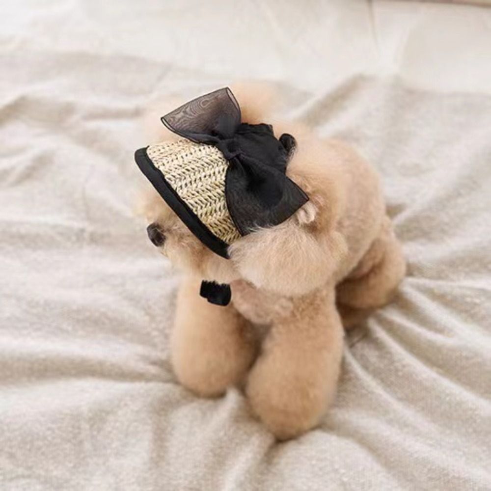 Pet Outdoor Supplies Adjustable Lace Dog Sunscreen Hat Portable Bowknot Dog Straw Hat Cute Pet Summer Cap Cat