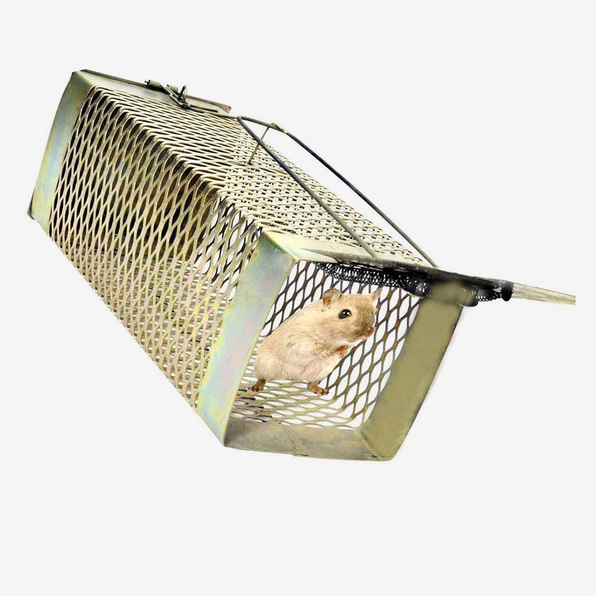 Heavy-Duty Rat, Rodent, And Mouse Trap - Durable Iron Cage With Secure Locking Mechanism