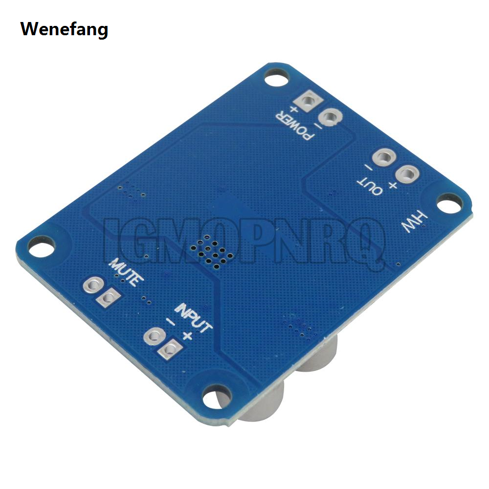 Wenefang 1PCS 60W TPA3118 12V 24V PBTL Mono Digital Audio Power Amplifier Board Power AMP Module Car High Out Low Power