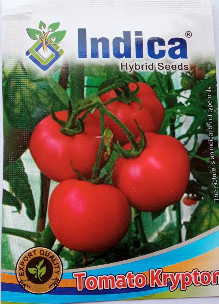 1 Gram Krypton Tomato Seeds