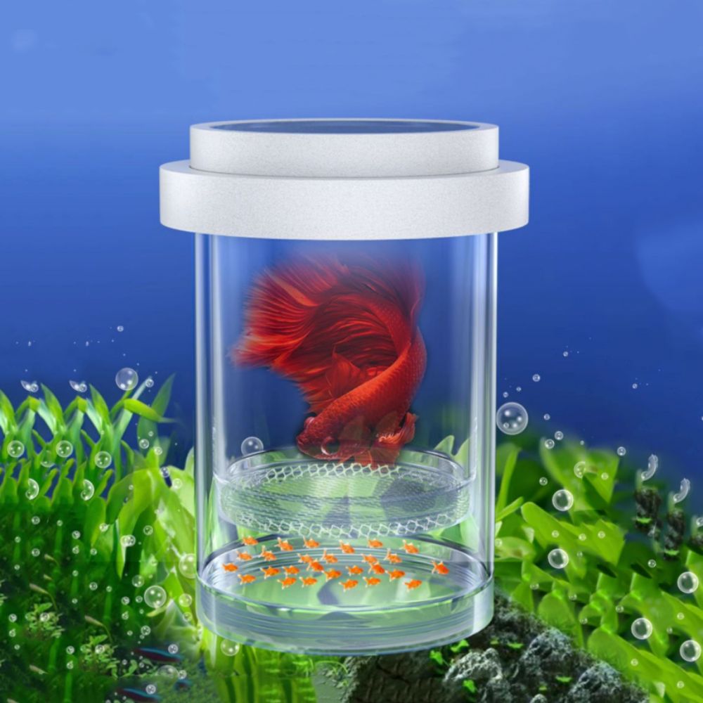 Multifunction Single Layer Floating Hatching Box Fine/Coarse Mesh Plastic Aquarium Breeder Feeder Fish Hatching Incubator White Guppy Breeding Box Fish Store