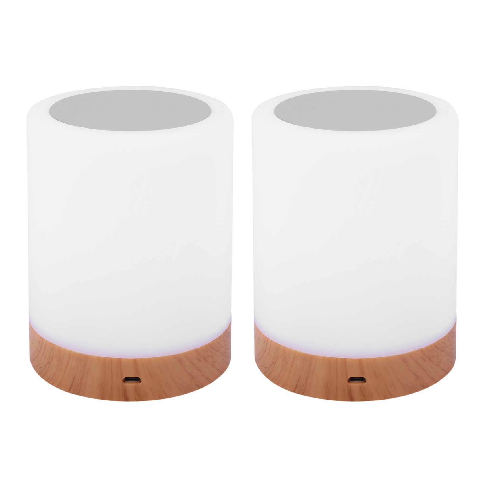 fasdaga 2X Night Light, Touch Lamp for Bedrooms Living Room Portable Table Bedside Lamps with Rechargeable Internal